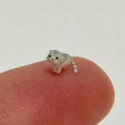 El Wiwi logo El Wiwi crypto logo