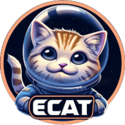 ELON CAT FINANCE logo ELON CAT FINANCE crypto logo