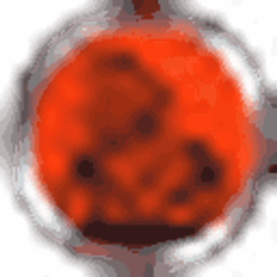 Evil Coin crypto logo