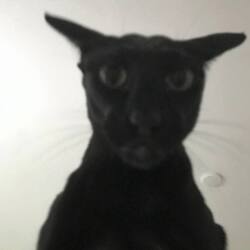 Evil Larry logo Evil Larry crypto logo