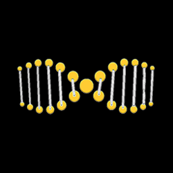 extraDNA crypto logo