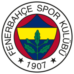 Fenerbahçe crypto logo