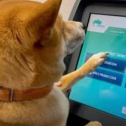 First Dog to Buy Crypto logo First Dog to Buy Crypto crypto logo