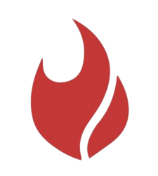 Flama coin logo