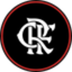 Flamengo Fan Token coin logo