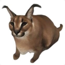 Floppa logo Floppa crypto logo