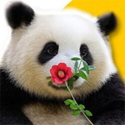 花花 (flower flower) logo 花花 (flower flower) crypto logo