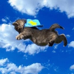 Flycat logo Flycat crypto logo