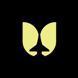 Flying Tulip crypto logo
