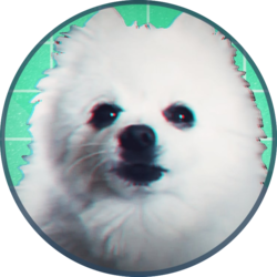 Gabecoin logo Gabecoin crypto logo