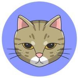 Ginnan Neko logo Ginnan Neko crypto logo