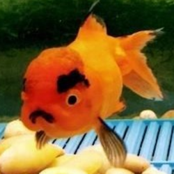 Glub logo Glub crypto logo