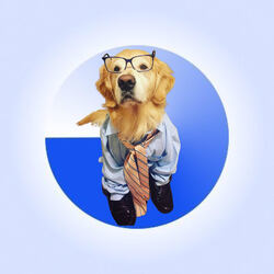 Golden Bailey logo Golden Bailey crypto logo