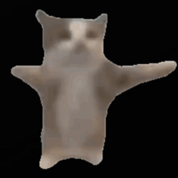 happi cat logo happi cat crypto logo