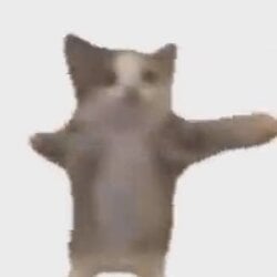 HAPPYCAT logo HAPPYCAT crypto logo