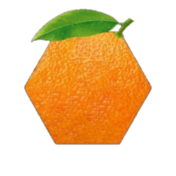 Hex Orange Address crypto logo