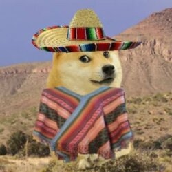 hispanic doge crypto logo