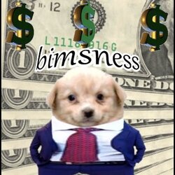 HOLDER logo HOLDER crypto logo