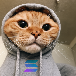 Hood Cat logo Hood Cat crypto logo