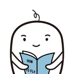 HOW TO FLY crypto logo