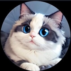 Huhu Cat crypto logo