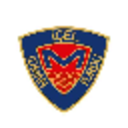 Icel Idman Yurdu crypto logo