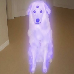 illusion logo illusion crypto logo