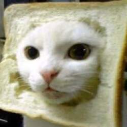 Inbred Cat logo Inbred Cat crypto logo