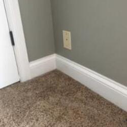 Invisible Cat logo Invisible Cat crypto logo