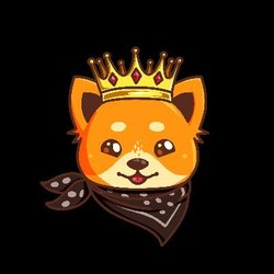 KingDoge crypto logo