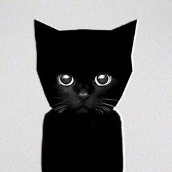 KITO logo KITO crypto logo