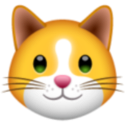 KittenFinance crypto logo
