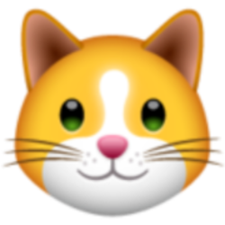 KittenFinance logo KittenFinance crypto logo