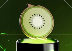 Kiwi crypto logo