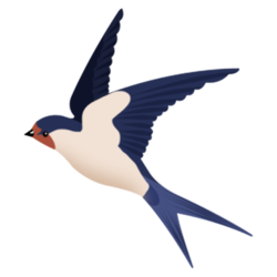 Koel Coin crypto logo