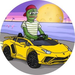 LAMBO AND MOON crypto logo