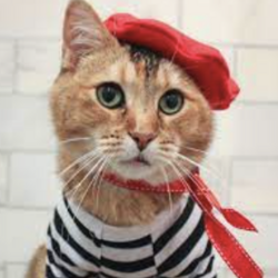 Le Meow logo Le Meow crypto logo