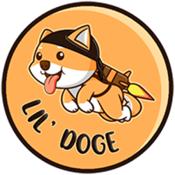 LilDoge logo LilDoge crypto logo