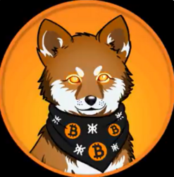 LOBO•THE•WOLF•PUP logo LOBO•THE•WOLF•PUP crypto logo