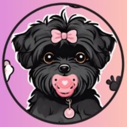 Lyra logo Lyra crypto logo