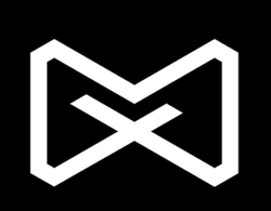 Machi X crypto logo