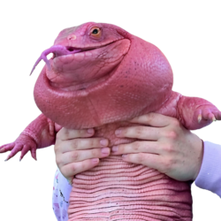 MAGAIBA logo MAGAIBA crypto logo