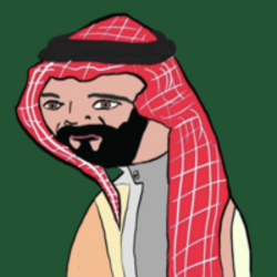 Mahabibi Bin Solman crypto logo