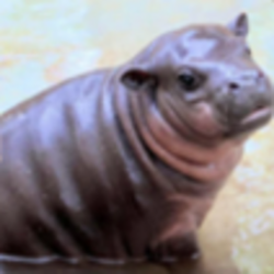 MARS logo MARS crypto logo