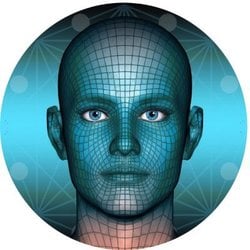 Metaverse Face logo Metaverse Face crypto logo