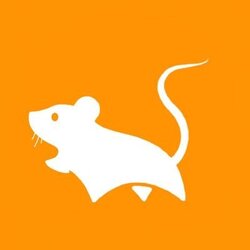 Mice (Ordinals) crypto logo