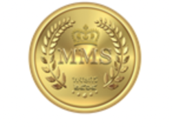 MMS Coin logo MMS Coin crypto logo