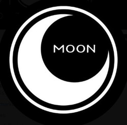 MOON (Ordinals) crypto logo