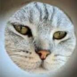 MUNCAT logo MUNCAT crypto logo