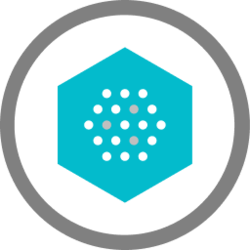 Nami Corporation crypto logo
